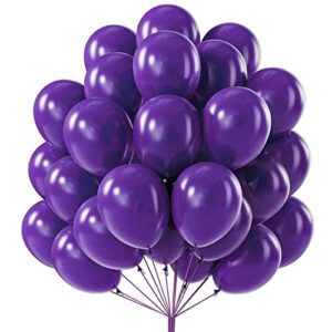 Purple Party Balloons 50 pcs 12 inch