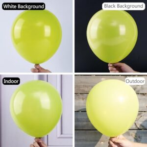 Green Balloons Assorted Sizes 100 Pcs