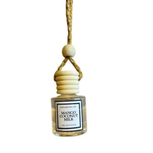 Hanging Car Fragrance Diffuser