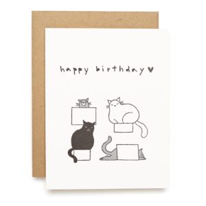 Birthday Cats in Containers