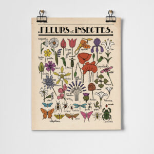 Flowers and Insects Art Print