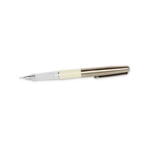 Neutral Color Fountain Pen