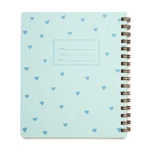 Standard Notebook Blue Hearts