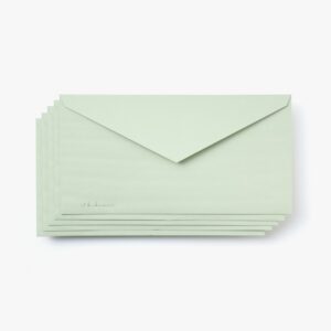 Mint Envelope Set of 5