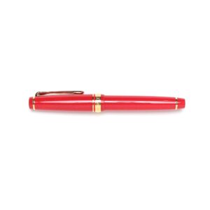 slim elegant fountain pen medium fine