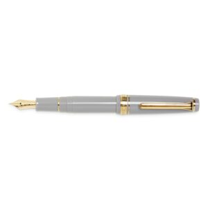 Professional Slim Mini Fountain Pen Gray Medium Fine