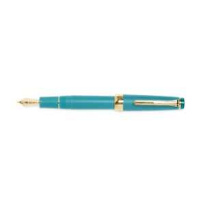 professional slim fountain pen medium fine