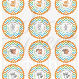 Nature-themed Baby Shower Decorations