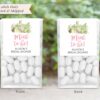 cactus-bridal-shower-favors-tic-tac-labels-mint-to-be-wedding-favors-bachelorette-favors-succulent-wedding-set-of-24-labels