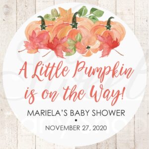 Baby Shower Favor Stickers Set of 24