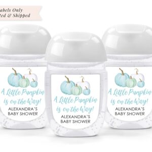 Baby Shower Sanitizer Favor Labels Set of 30