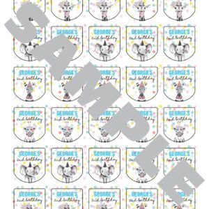 Birthday Party Sanitizer Labels Set of 30