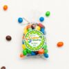 st-patricks-day-stickers-my-lucky-charm-treat-bag-stickers-kids-school-party-st-patricks-labels-leprechaun-shamrocks-irish-set-of-24