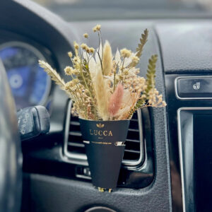 Non-Toxic Car Vent Clip with Aromatic Oils